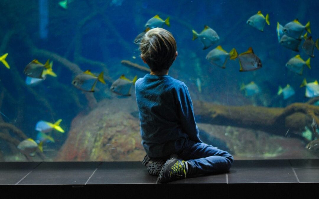 Fun ideas for SEND families around the UK